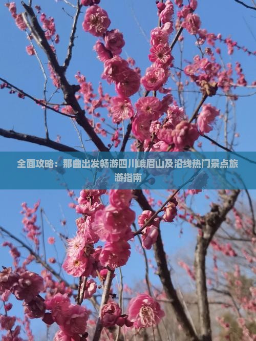 全面攻略：那曲出发畅游四川峨眉山及沿线热门景点旅游指南