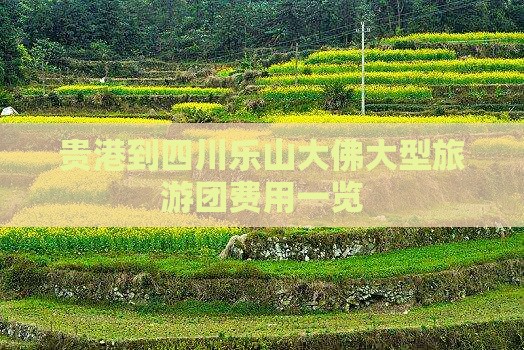 贵港到四川乐山大佛大型旅游团费用一览