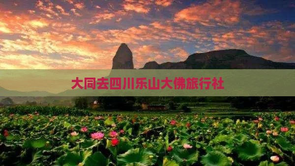 大同去四川乐山大佛旅行社