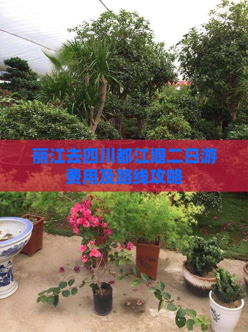 丽江去四川都江堰二日游费用及路线攻略