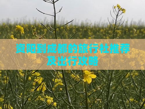资阳到成都的旅行社推荐及出行攻略