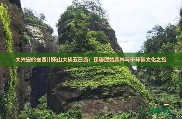 大兴安岭去四川乐山大佛五日游：探秘原始森林与千年佛文化之旅