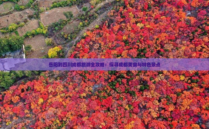 岳阳到四川成都旅游全攻略：探寻成都美食与特色景点