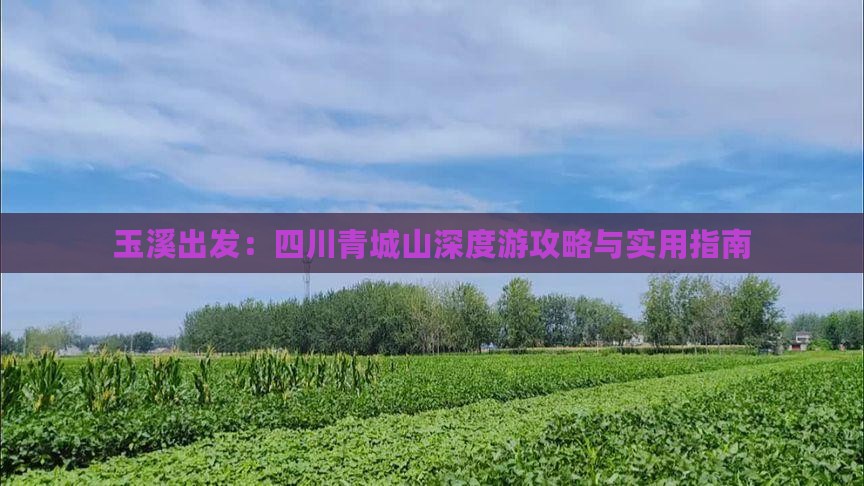 玉溪出发：四川青城山深度游攻略与实用指南