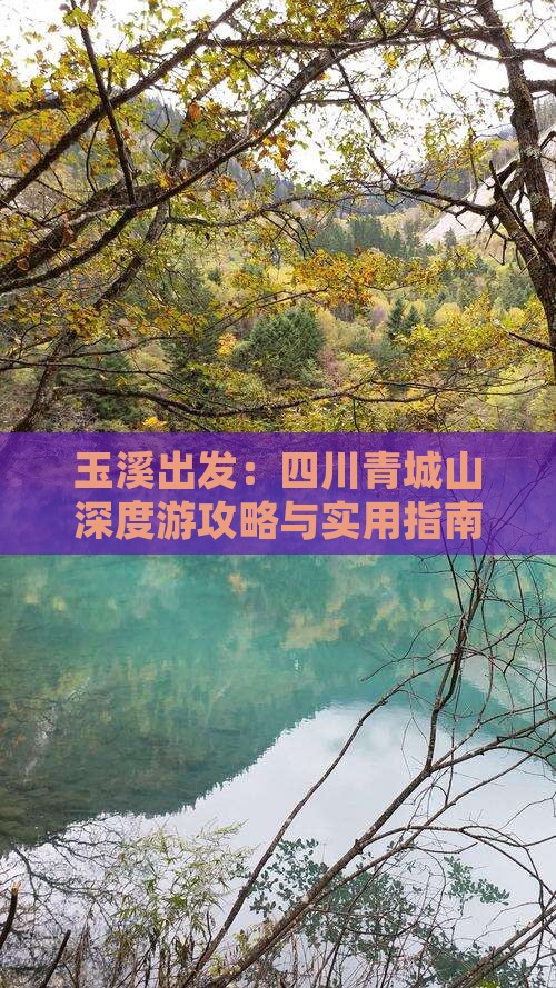 玉溪出发：四川青城山深度游攻略与实用指南