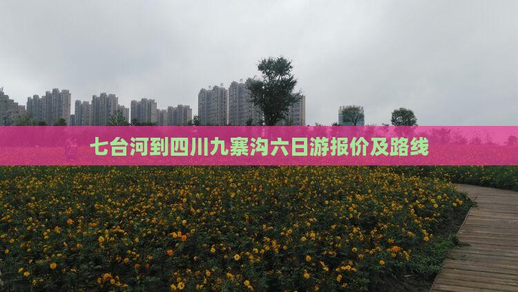 七台河到四川九寨沟六日游报价及路线