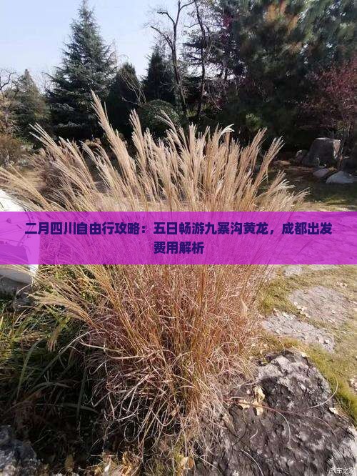 二月四川自由行攻略：五日畅游九寨沟黄龙，成都出发费用解析