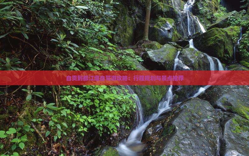 自贡到都江堰自驾游攻略：行程规划与景点推荐