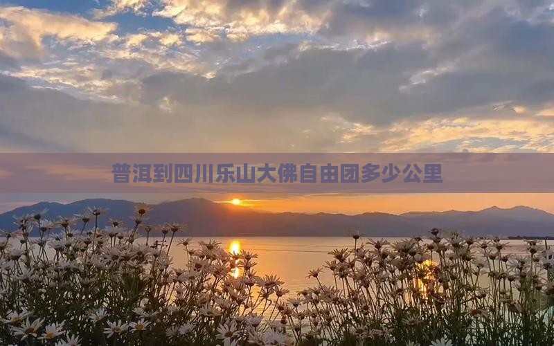 普洱到四川乐山大佛自由团多少公里