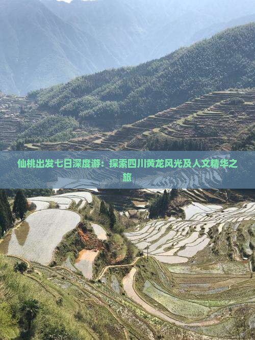 仙桃出发七日深度游：探索四川黄龙风光及人文精华之旅