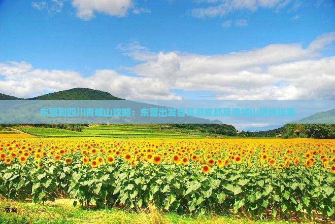 东营到四川青城山攻略：东营出发自驾游成都及青城山路线指南