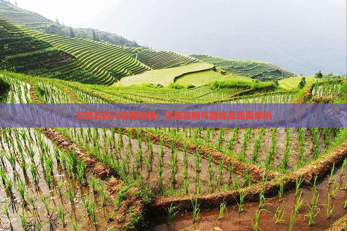 三明去四川成都旅游：详细攻略与路线及距离解析