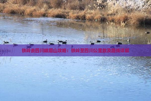 铁岭去四川峨眉山攻略：铁岭至四川公里数及路线详解