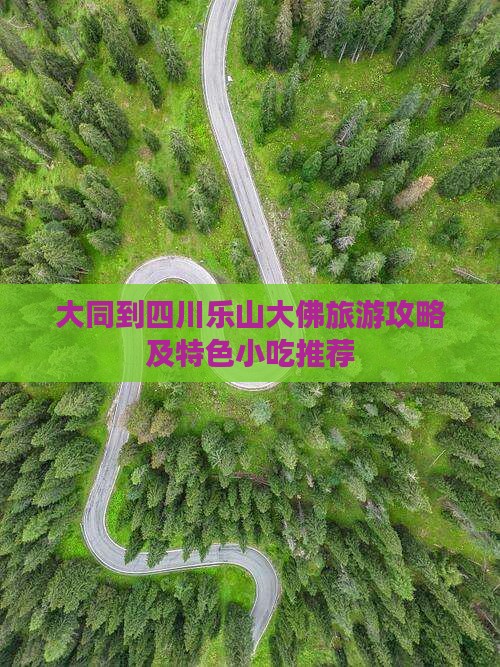大同到四川乐山大佛旅游攻略及特色小吃推荐