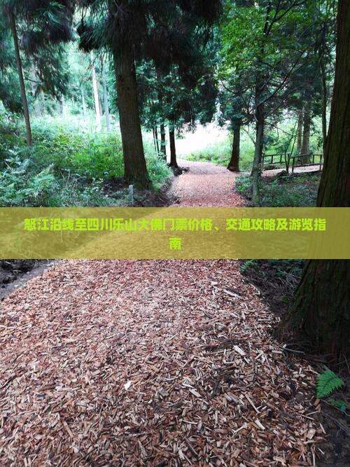 怒江沿线至四川乐山大佛门票价格、交通攻略及游览指南