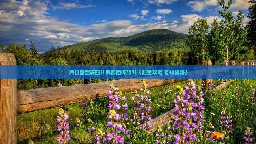 阿拉善盟去四川成都团体旅游 阿拉善盟去四川成都团体旅游