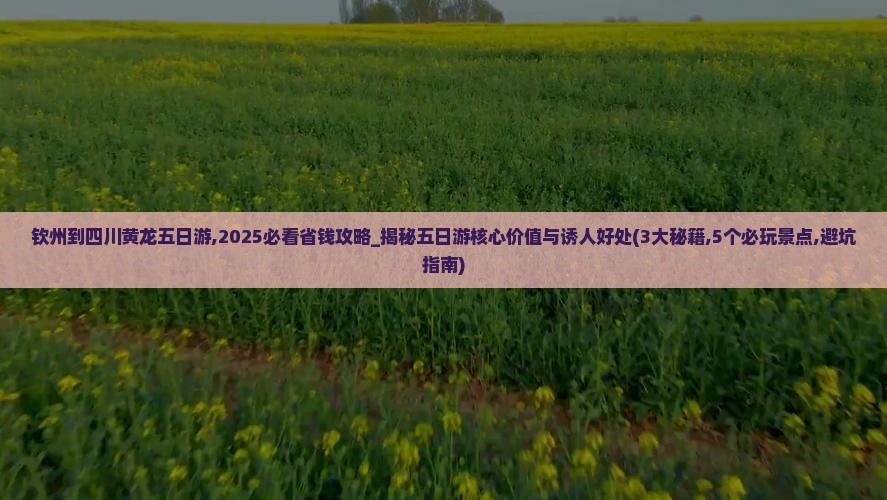 钦州到四川黄龙五日游