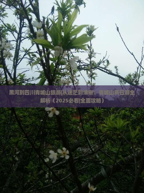 黑河到四川青城山旅游