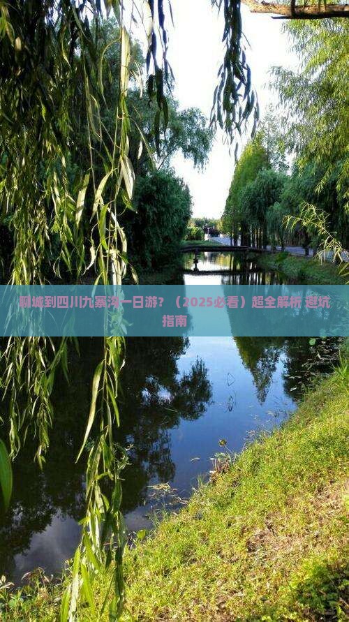 聊城到四川九寨沟一日