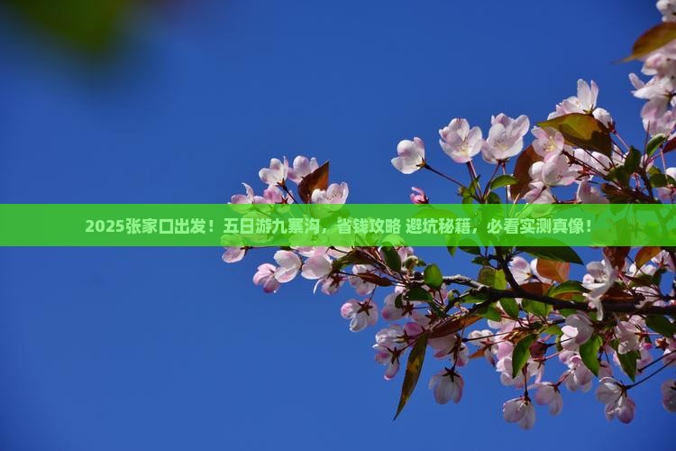 张家口到四川九寨沟五日游