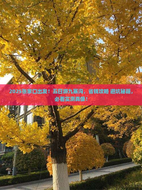 张家口到四川九寨沟五日游