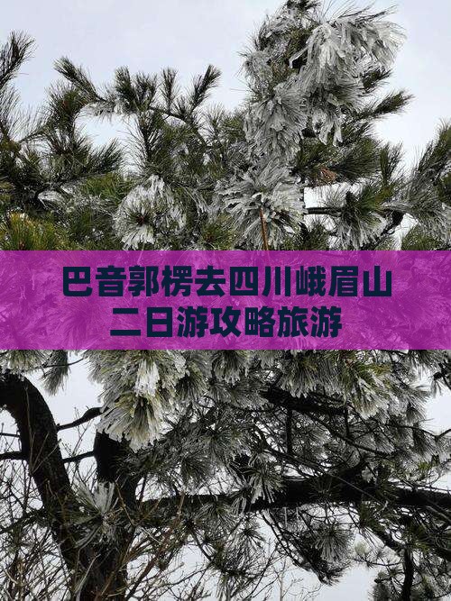 巴音郭楞去四川峨眉山二日游