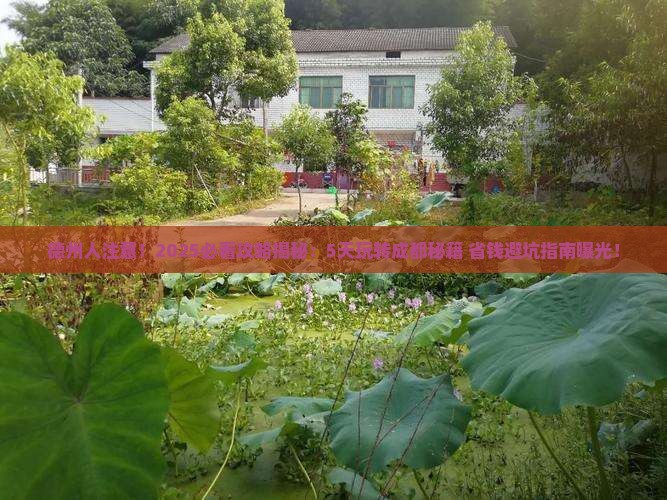 德州到四川成都五日游