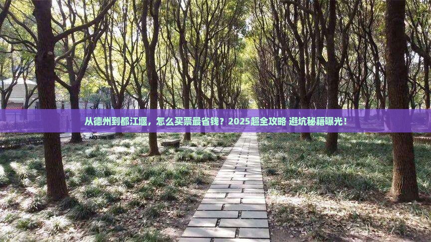 德州去四川都江堰门票