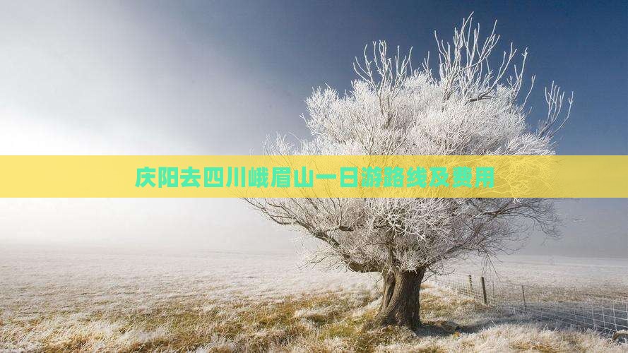 庆阳去四川峨眉山一日