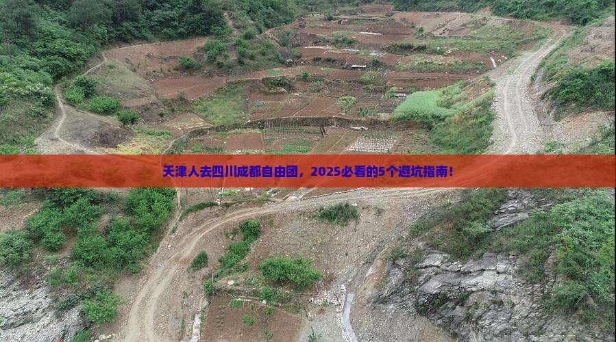 天津去四川成都自由团