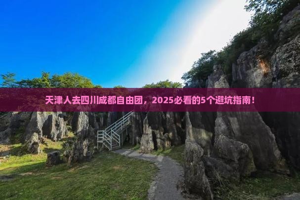 天津去四川成都自由团