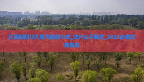 辽源到四川九寨沟旅游小吃