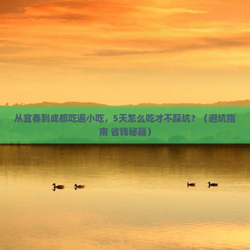 宜春去四川成都旅游小吃