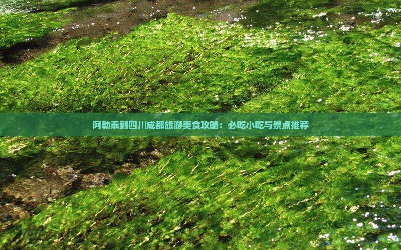 阿勒泰到四川成都旅游小吃 阿勒泰到四川成都旅游小吃