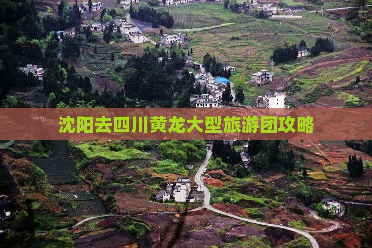 沈阳去四川黄龙大型旅游团