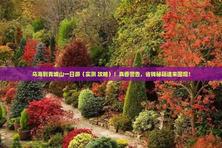 乌海到四川青城山一日