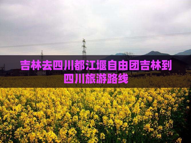 吉林去四川都江堰自由团