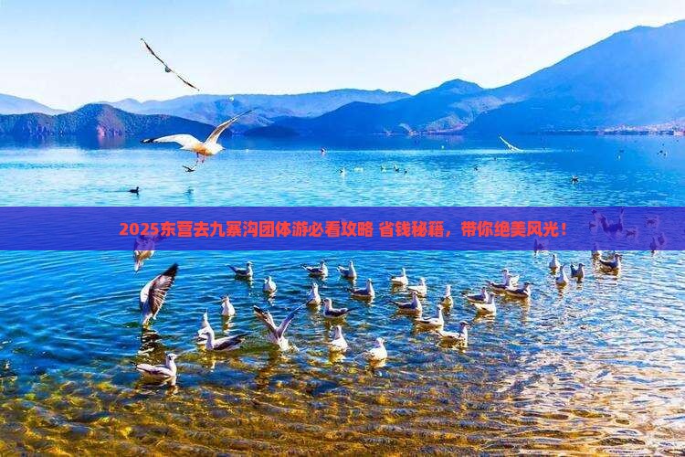 东营去四川九寨沟团体旅游