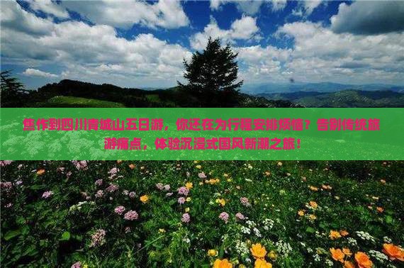 焦作到四川青城山五日游