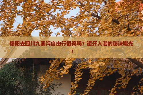 揭阳去四川九寨沟自由行