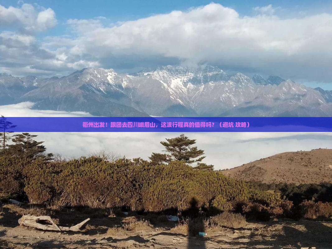 衢州到四川峨眉山大型旅游团