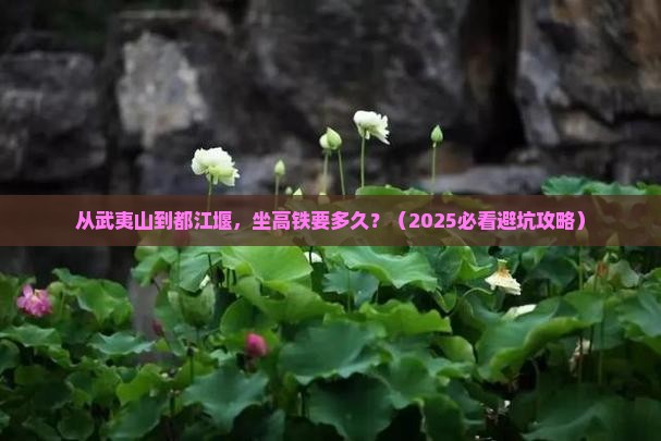 武夷山去四川都江堰旅游