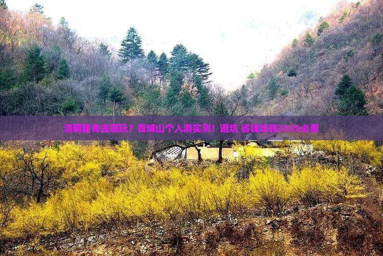清明节到四川青城山个人游