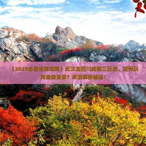 武汉去四川成都三日游