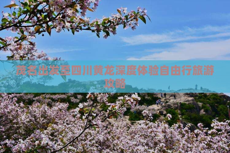 茂名出发至四川黄龙深度体验自由行旅游攻略