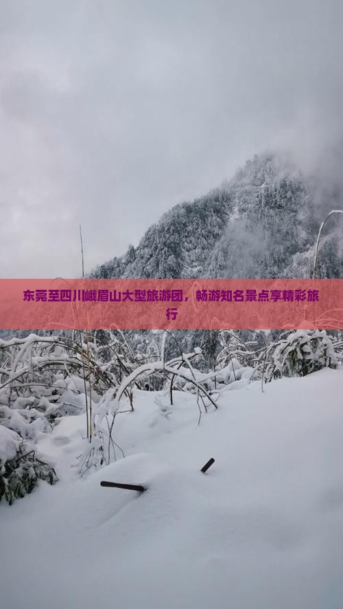 东莞至四川峨眉山大型旅游团，畅游知名景点享精彩旅行