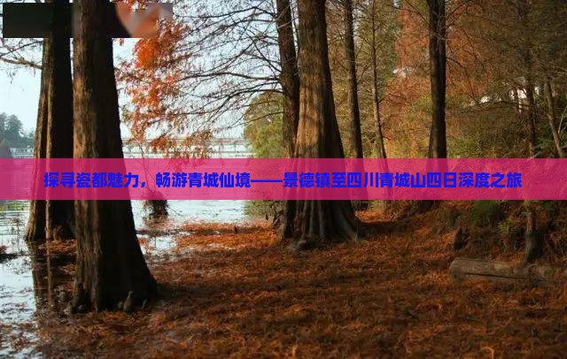 探寻瓷都魅力，畅游青城仙境——景德镇至四川青城山四日深度之旅