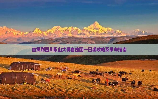 自贡到四川乐山大佛自由团一日游攻略及乘车指南