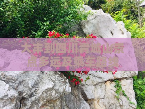 大丰到四川青城山景点多远及乘车路线