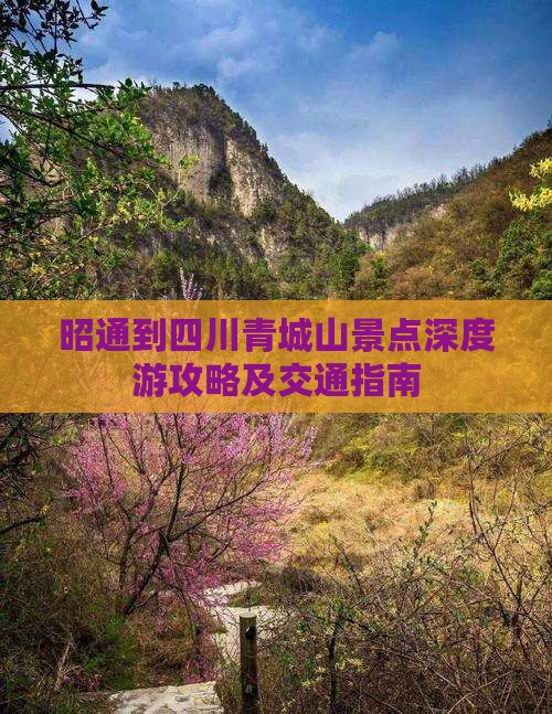 昭通到四川青城山景点深度游攻略及交通指南